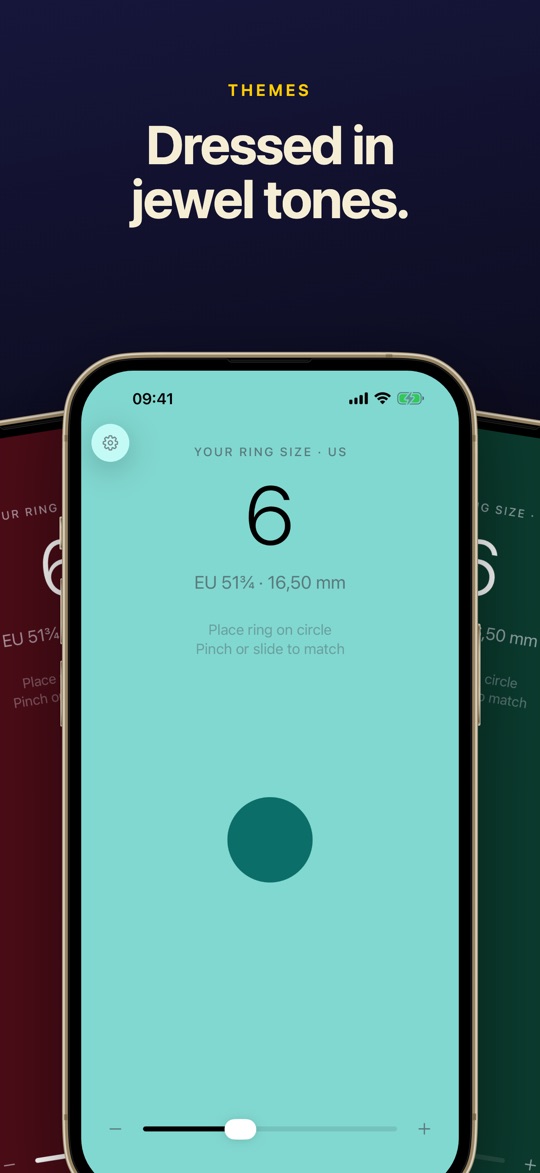 Sizewise: Ring Sizer & Finder screenshot 4 of 4
